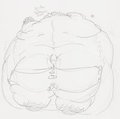 EricFox Weight Gain pt9