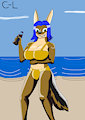 Roy at the beach