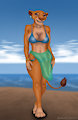 Swimsuit Issue #5 by Rahir