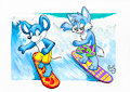 Surf Pacific