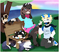 Contest Entry