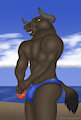 Horny at the beach v1