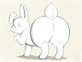 Bunny Buns Doodle