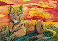 Lioness in the sunlight by FuzzyMaro