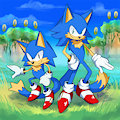 Sonic the Cat?