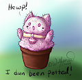 ppotted cattus