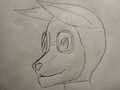 C.J. "Ghostfox" Lash requested by Ghostfox91 by Hebiyoujo