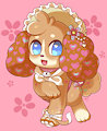 Pupy