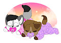 Cutest puppies in the puppyverse
