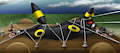 Transporting Umbreon