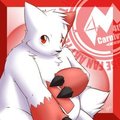 Zangoose Day