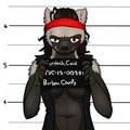 Caid's Bar Brawl by Immelmann