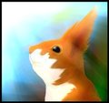 Squirrel <3 by oonami