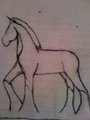 nemo horse by amberm1992