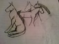 nemo horses and dogs by amberm1992