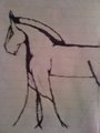 nemo horse by amberm1992