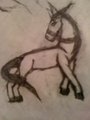 donkey? by amberm1992