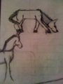 horses by amberm1992