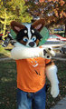 Cone Of Shame 2