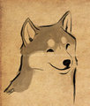 Brush Shiba by LostWolfSpirit
