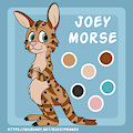 Joey Morse Bengal