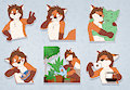 Seikilos' pack