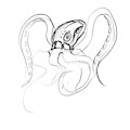 Kraken