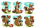 Roocoon to Squirrel