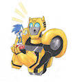 Bumble bee and Sonic