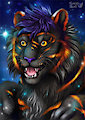 Tiger and the little star