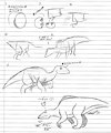 REVIEW: Maia, a Dinosaur Grows Up