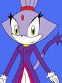blaze the cat