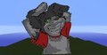 PIXEL RONI!