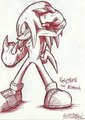 Knuckles the Echizna or echidna??
