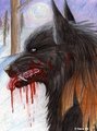 Rabid Winter