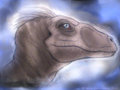 Raptor