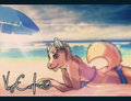 :TRADE: Barbieburnanator by WolfCarlsson