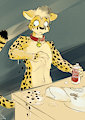 Spot Remover by Halcyon