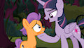 Are you lost, little colt?