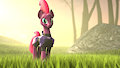 Tempest Shadow