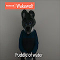 "Puddle of water" ASL gif