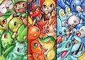starters by Blume