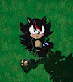 Dark