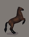 Chocolate horsey