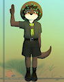 Scout's Promise!