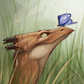 Hester Portrait by Lizet