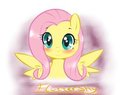 Fluttershy