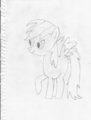 Rainbow Dash! by WingedKitsune