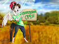 Commissions open!