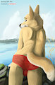 Lakeside